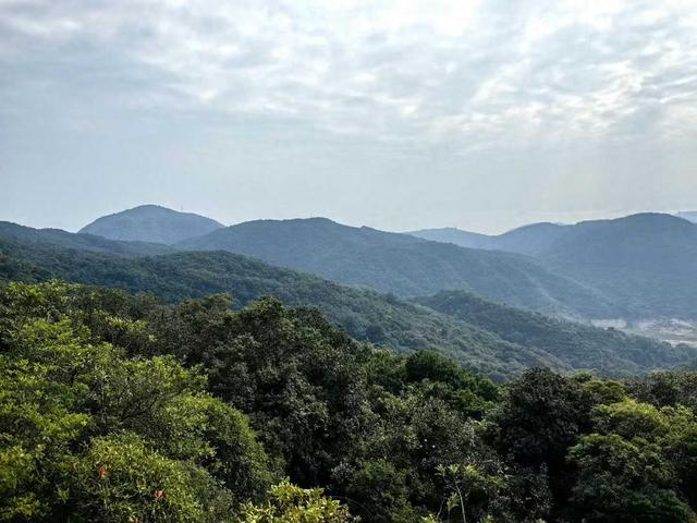 监管再给保险资金入市松绑 赚钱速度又要上一个台阶