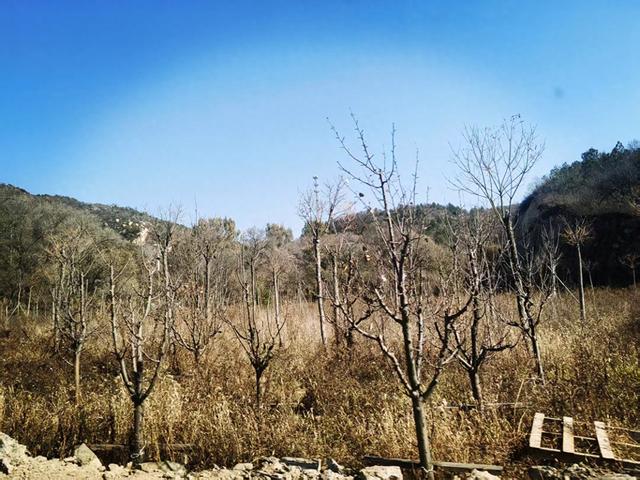 无需去公园，请随着我进山看风景吧