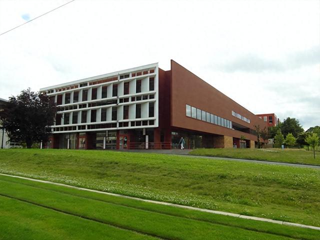 哔咔优化（勒芒大学企业管理硕士MAE项目）