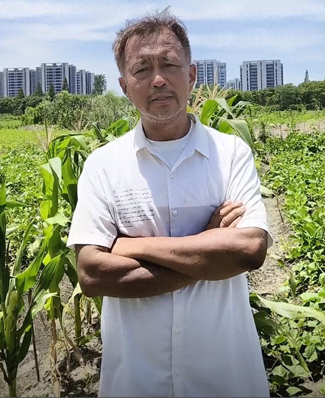 沈巍观察：为什么流浪大师会在2025年二度爆火？