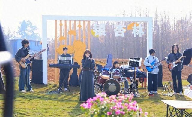 冬阳寻杏语 烟火回回营——呈贡区雨花街道银杏主题嘉年华温情启幕