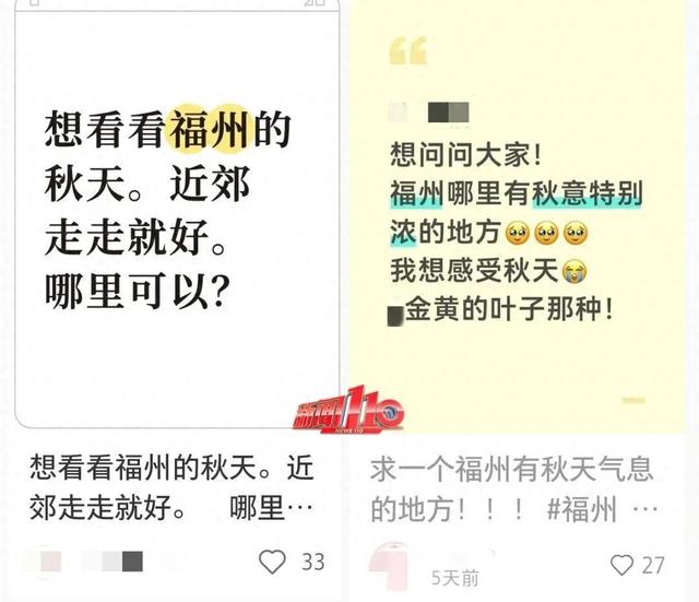 “顶流”回归！近期，福州大量出现