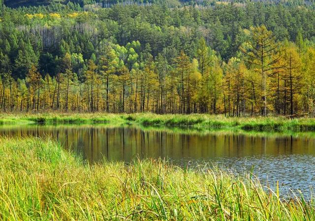 秋天的第一场旅行 ，穿越大兴安岭，那是一片神奇而美丽的土地