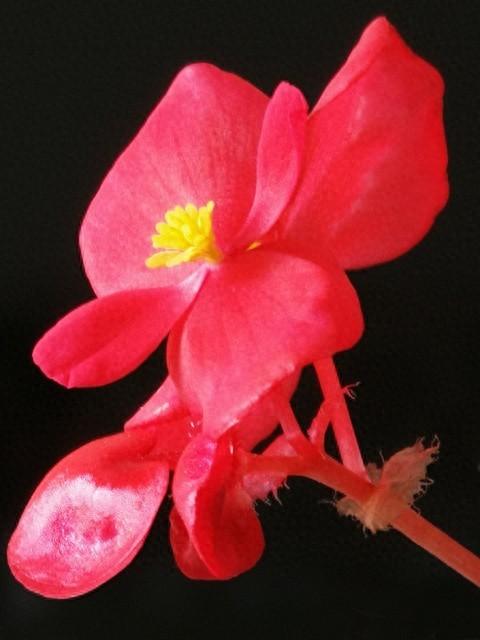 高中优化方案化学答案（高中化学）