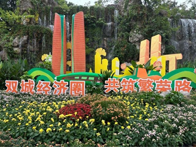 2025年成都人民公园赏菊活动正式启幕