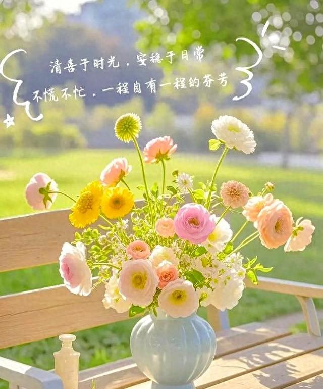 向阳而生是什么意思向阳而生释义（抄书打卡第287天做一个温暖的人）