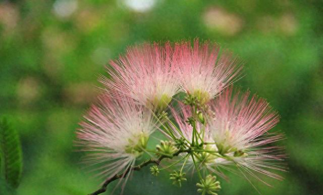 3种方法来忘记一个男生（忘记一个男人）