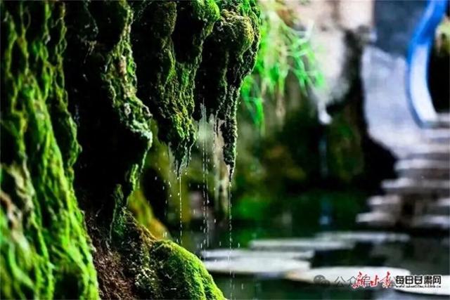 崇信：秋染龙泉寺