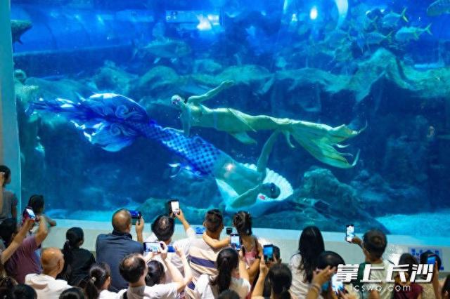 致敬军人感恩师者，长沙海底世界九月推出多项免票、半价优惠活动