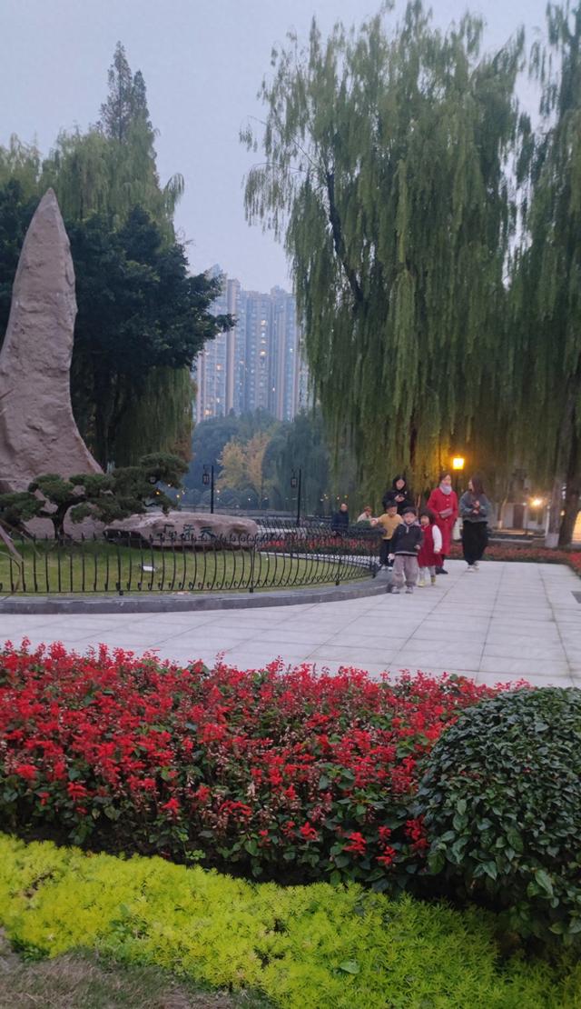 蓉城公园花儿紅