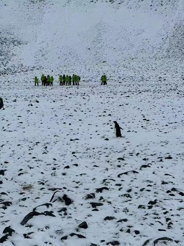 女子遭遇南极版“人在囧途”：攒了一年的旅费，在“世界的最南端”丢了行李，靠中国同胞出借物资度过15天