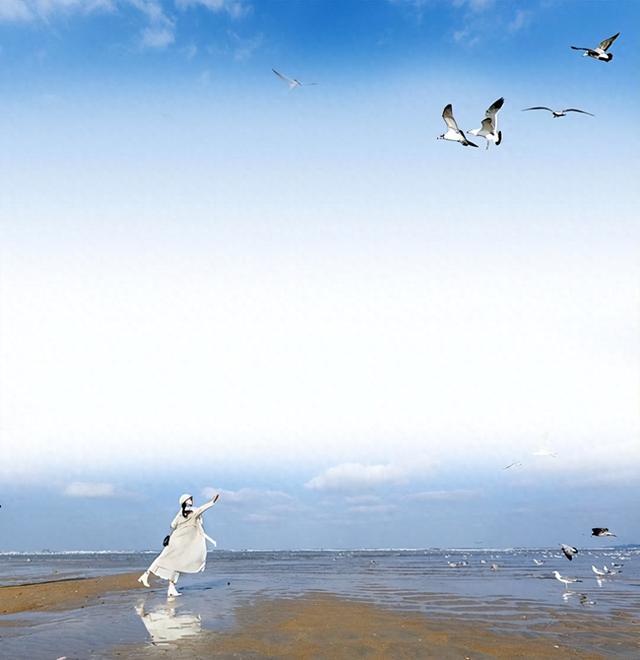 烟台海滨呈现万鸥翔集盛景，专家揭秘这些“海洋精灵”的身世
