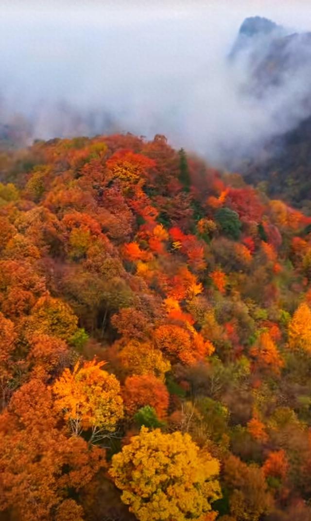 盐井峡的秋，是山野写给人间的信