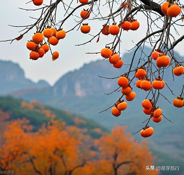 林州太行大峡谷门票价格及优惠政策