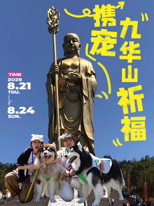 这个8月，拖猫带狗闯江南竹海~