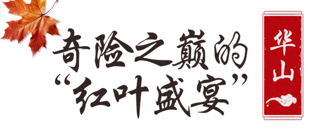 还能去哪儿赏最后一波秋色……