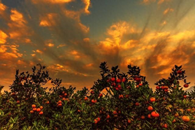 上个月去了趟化州，我实话实说：当地人的素质让我眼界大开～