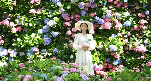 楚雄版“莫奈花园”藏不住啦！让你“五一”假期一次看过瘾