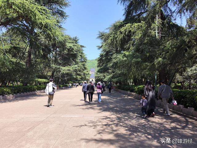 访中山陵遇周一闭馆，音乐台看白鸽与音符共舞