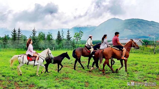 宁报视点 | 避暑之旅，选宁夏就对了！