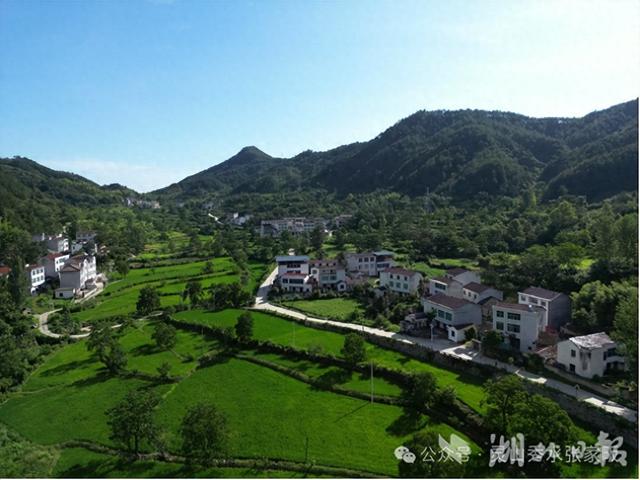 麻城张家畈镇余家河村：古韵新颜 绿富同兴