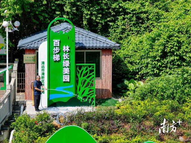 清新百步梯林长绿美园焕新：设施提质、生态扩容、宣教升级