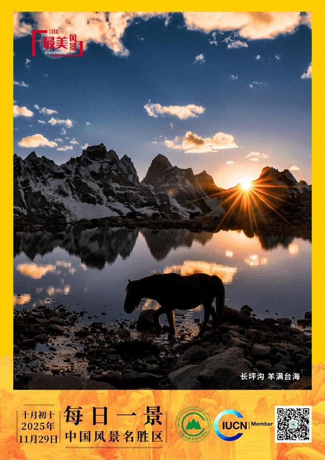 每日一景 | 长坪沟 羊满台海