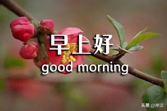 黎明始终会如期而至是什么意思（早安心语无论黑夜多么漫长不堪）