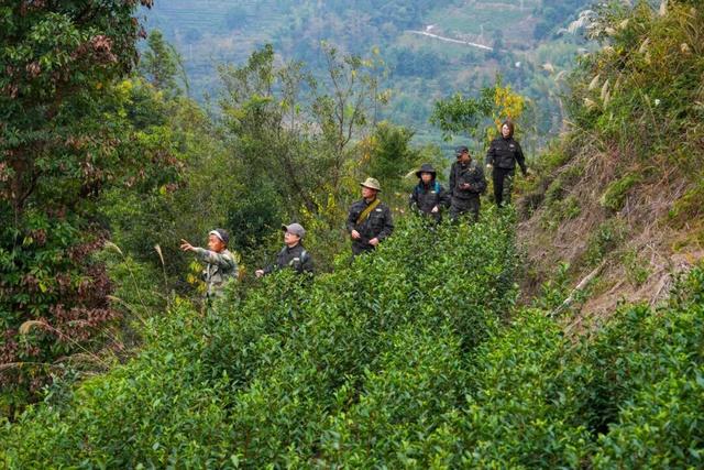 温州这个地方，藏着一群神秘“守泉人”