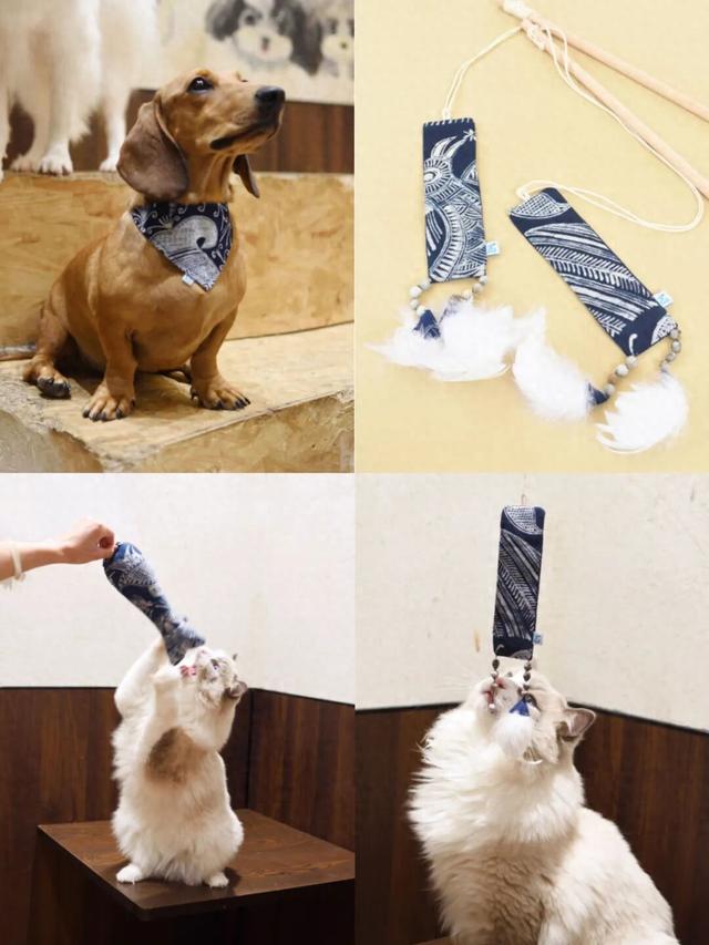 祝贺！南明斩获1银2铜