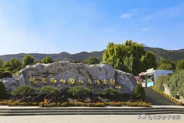 西山国家森林公园 一日赏尽红叶与京城夜景