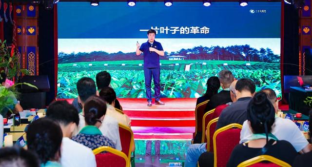 归心茶旅 共赴“新”途
