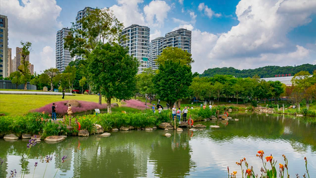 藏在市中心的莫奈花园，不仅能观赏绝美水杉，还能露营溜娃拍照