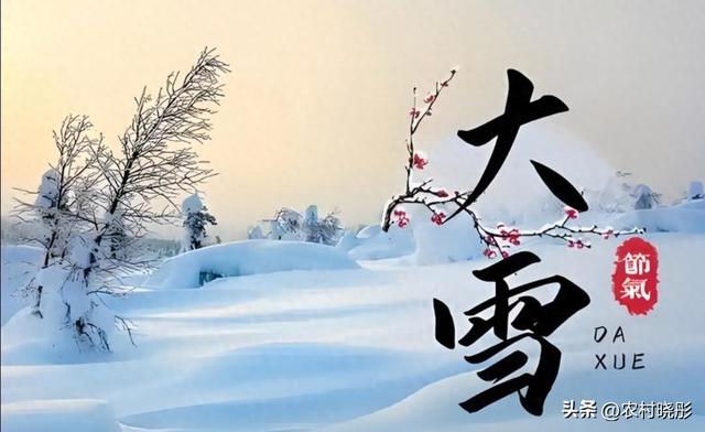 ❄️“今年大雪在清晨5点！老话‘上午大雪冰上走’准不准？”