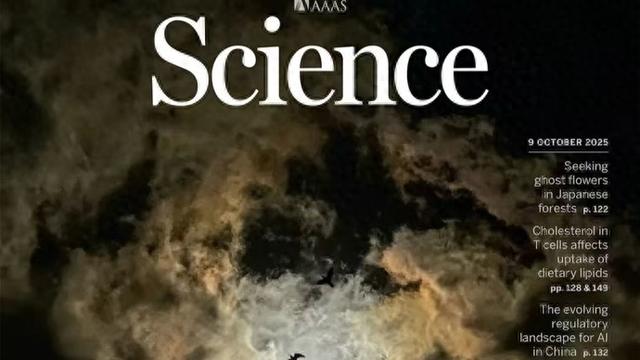 同济大学文科学者成果登顶刊《科学》，展示AI监管的“中国智慧”