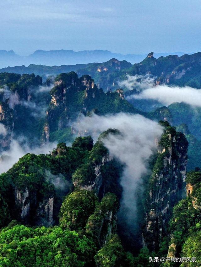 自驾游张家界旅游攻略及费用（张家界自驾这样走山顶空降省半力）