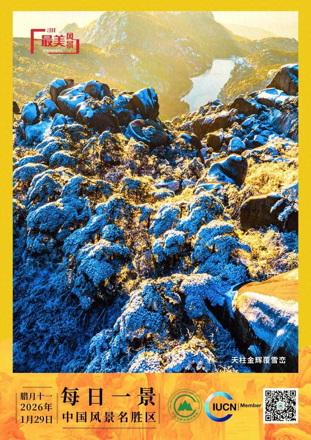 每日一景 | 天柱金辉覆雪峦