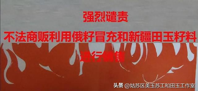 小心你手上的新疆和田玉籽料被俄罗斯籽料冒充！