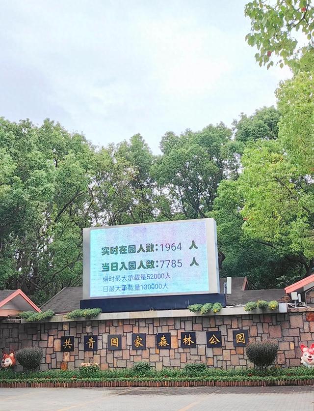 号称上海公园的天花板！我逛了三天三夜，居然还没玩够！