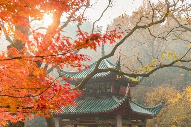 【90号公路】赏秋旅行推荐：湖南-长沙