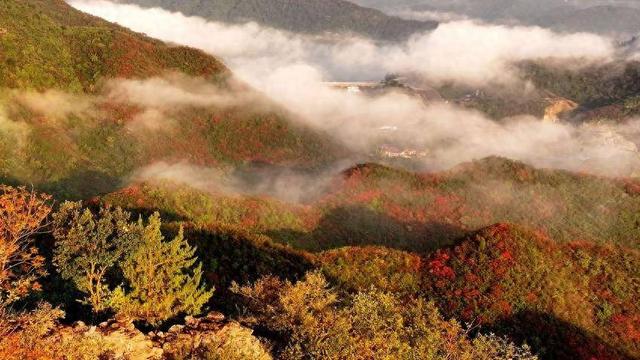 南漳：聚仙观顶望秋深 一笔胭脂染万岑