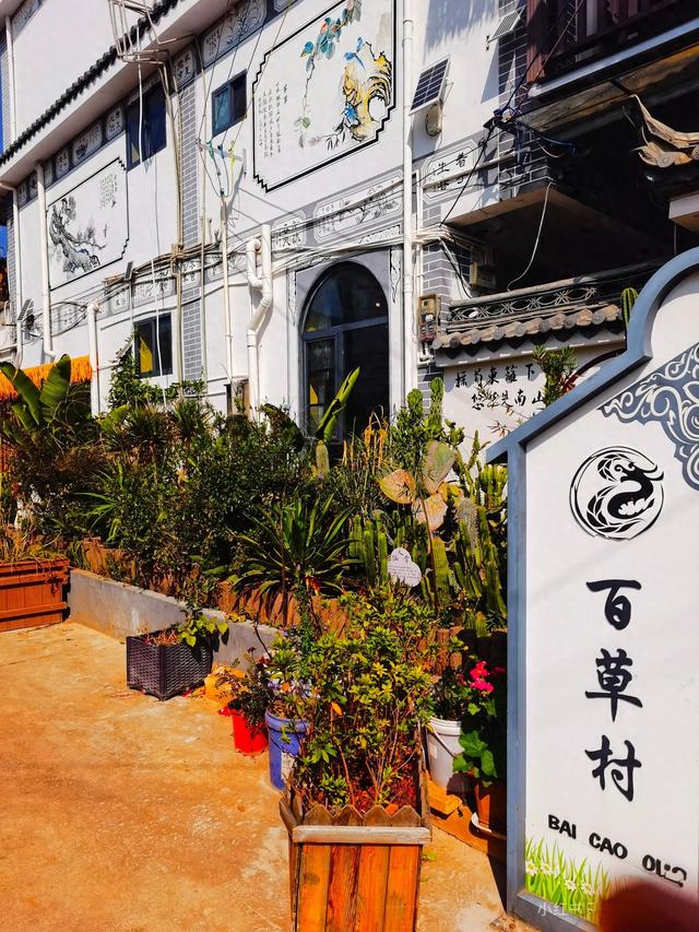 无需大理！昆明城外就藏着同款“风花雪月”——百草村，听风看海