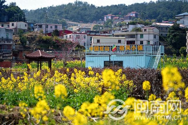 泉州虹山油菜花海开！美爆了！AI剧本游新玩法来啦