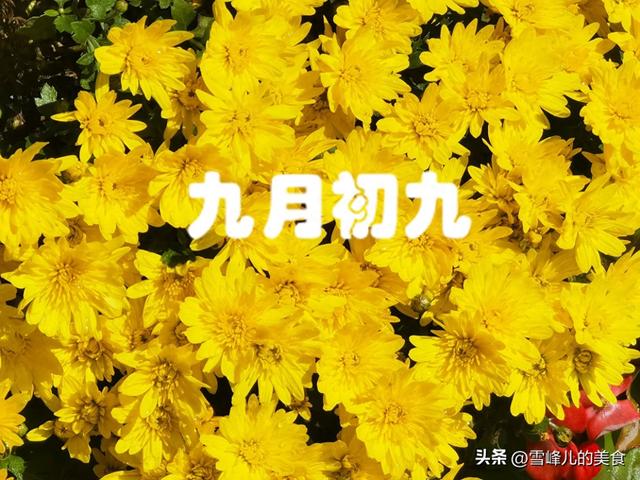 九九重阳节吃什么（10月29日是九九重阳节）