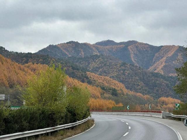 立冬 | 冬临秋未散，邂逅天水高速的鎏金画卷