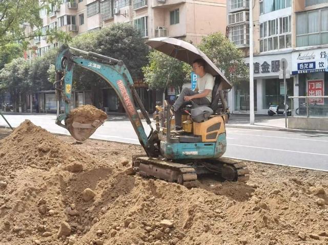 节日气氛渐浓！苴国路绿化景观焕新