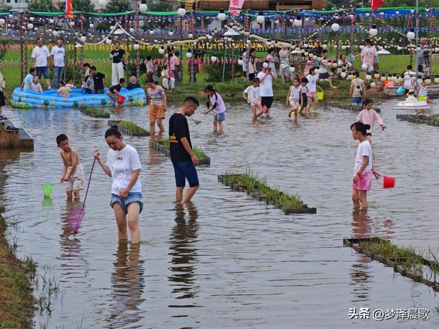 "鱼"悦盛夏 云梦陶楼庄园打造亲子避暑新体验