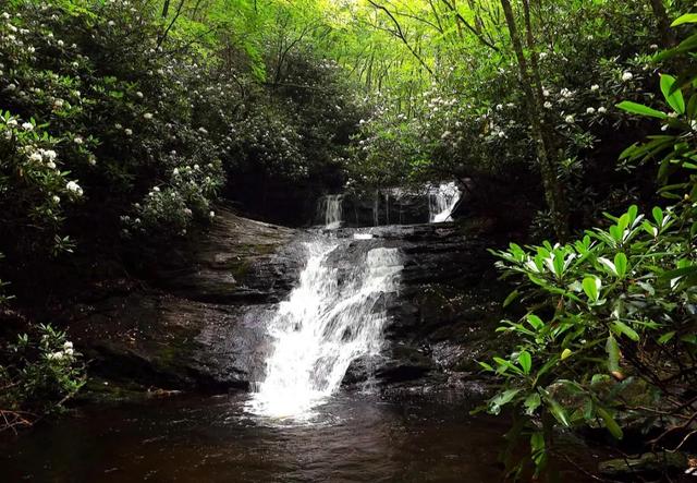 雅安有一个避暑景区，夏日气温23℃，来过的人根本不想走