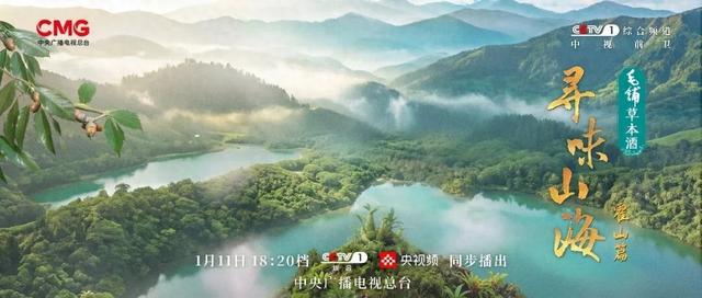 今天18:20！央视一套，看六安！