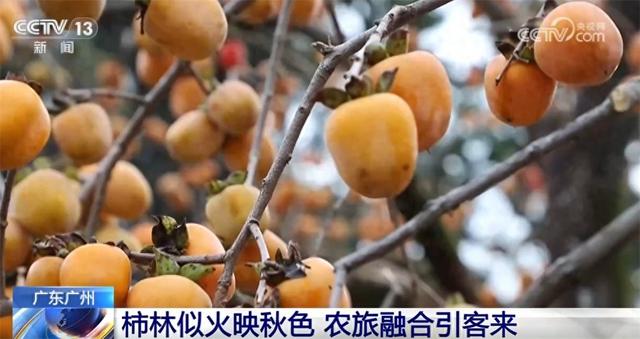 金秋时节“邂逅”绝美自然画卷 以“景”为媒打造文旅消费盛宴